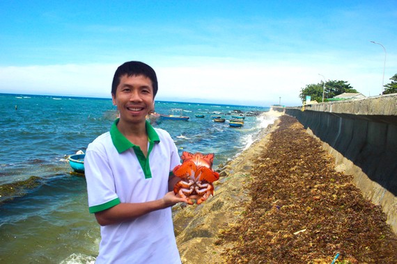 Anh Phạm Văn Công chuẩn bị thả một con cua huỳnh đế đang mang trứng về biển