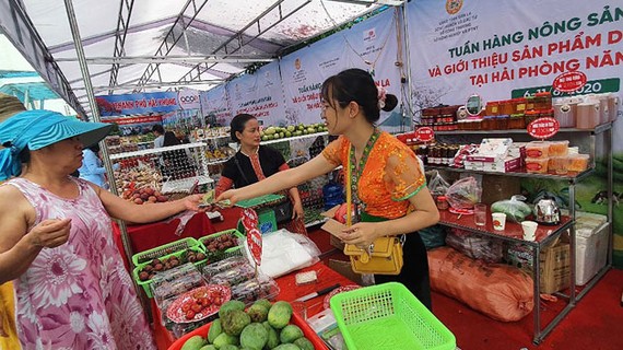 Hàng nông sản phía Bắc được Saigon Co.op hỗ trợ tiêu thụ