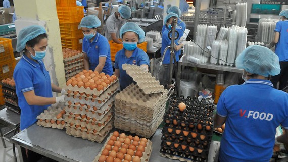 Chế biến trứng tại Công ty cổ phần Thực phẩm Vĩnh Thành Đạt. Ảnh: CAO THĂNG