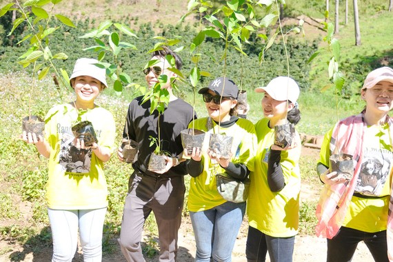 Nhân viên một doanh nghiệp ở TPHCM nhận cây giống miễn phí từ chị Phan Diệu Linh 
