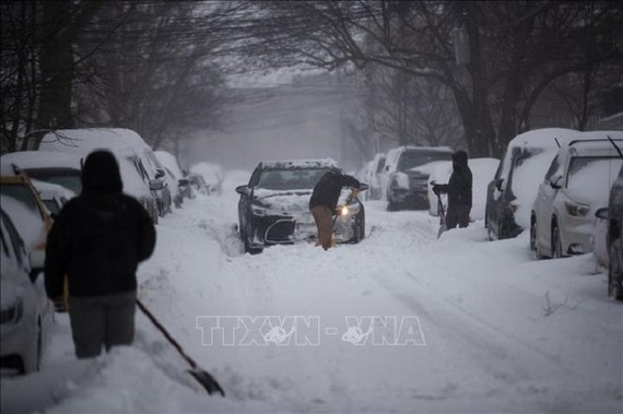 Ô tô bị mắc kẹt do tuyết rơi dày đặc tại New York, Mỹ vào đầu năm 2021. Ảnh: THX/TTXVN