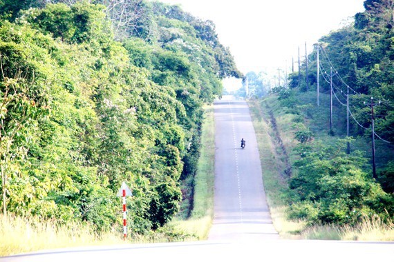 Đường dân sinh ĐT 761 trong Khu bảo tồn thiên nhiên – văn hóa Đồng Nai