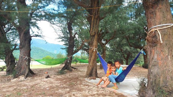Các em nhỏ dưới tán rừng phi lao cổ thụ ở xã Kỳ Nam, thị xã Kỳ Anh, tỉnh Hà Tĩnh