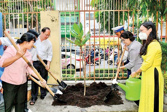 Phó Bí thư Thành ủy TPHCM Nguyễn Hồ Hải cùng các đại biểu trồng cây bàng vuông tại Trường Tiểu học Đinh Tiên Hoàng. Ảnh: VIỆT DŨNG