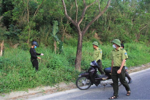 Cắm chốt, bố trí nhân viên ngăn chặn hành động gây hại đối với loài voọc ở bán đảo Sơn Trà