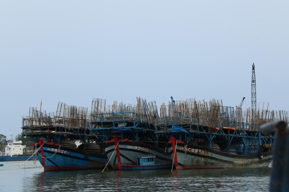 Tam Hải là nơi có nhiều ngư dân hành nghề câu mực trên biển