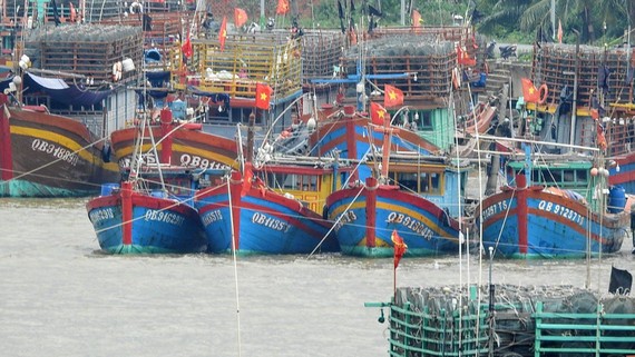 Tàu cá của ngư dân Quảng Bình neo đậu trên sông Nhật Lệ.