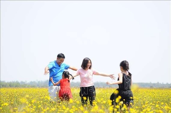 遊客在黃頭印花田中拍照。