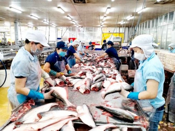 越南查魚外銷許多市場。