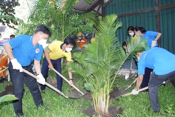 第五郡郡委書記阮孟強（左一）與諸位領導在萬幸師公寓參加植樹活動。