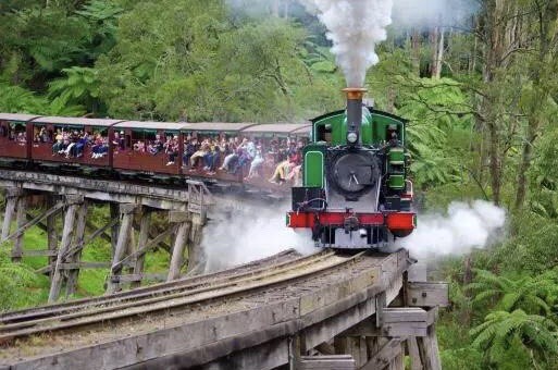 穿梭森林的帕芬比利蒸汽小火車。