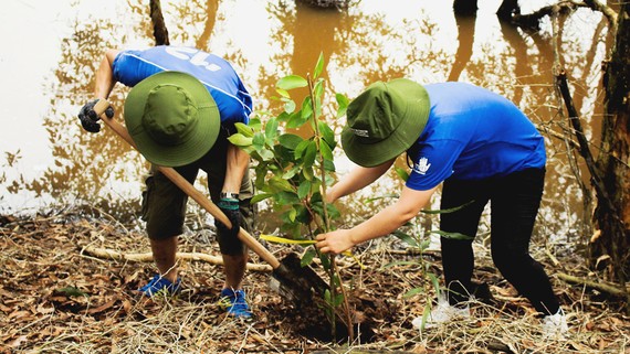 Ngày 5-12, có 7.000 cây bản địa được trồng mới tại khu Láng Sen