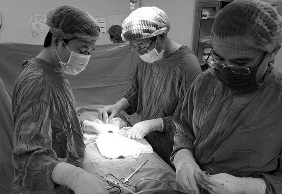 Các bác sĩ phẫu thuật cho bệnh nhân 