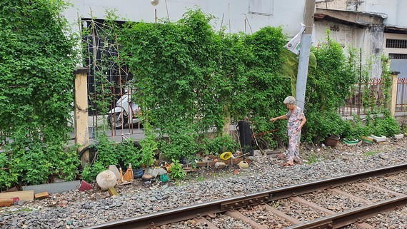 Người dân trồng rau trong khu vực an toàn đường sắt
