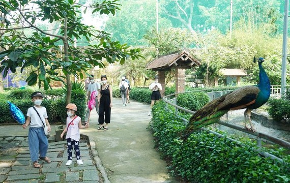 西貢動物園重新開放首天吸引不少遊客前來參觀。