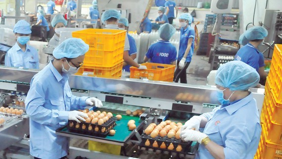 HCMC focuses on preparing goods for Tet holidays