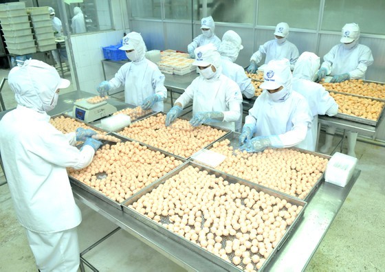 Food processing at a Korean company in Ho Chi Minh City. (Photo: SGGP)