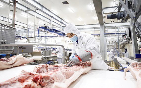 Masan MEATLife Joint Stock Company has been building a complex to process clean pork in Long An Province to serve the Southern market. (Photo: SGGP)