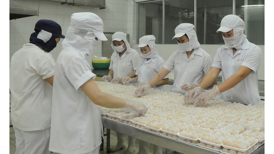 Food processing enterprises increase production capacity to meet the increasing demand. (Photo: SGGP)
