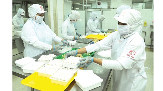 Production at Cau Tre Export goods Processing Joint Stock Company, a company that was bought by a Korean company. (Photo: SGGP)