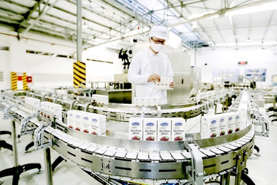 Dairy products of Vietnam Dairy Products Joint Stock Company (Vinamilk) are exported to many fastidious markets around the world. (Photo: SGGP)