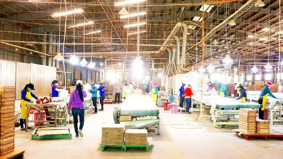 A wood factory processing wooden products for export to the EU in Binh Dinh Province. (Photo: SGGP)
