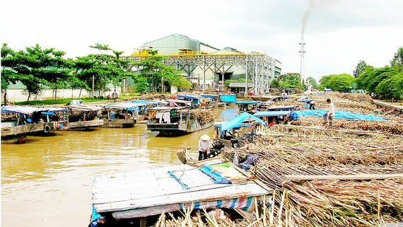Vietnam’s sugar industry needs protection from trade defense tax