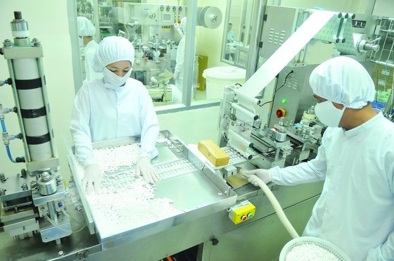 Pharmaceutical production is in dire need for medicinal supporting industry. (Photo: SGGP)