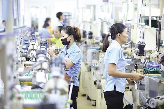 The processing and manufacturing industry rose by 10.4 percent, contributing 8 percentage points to the general growth. (Photo: SGGP)