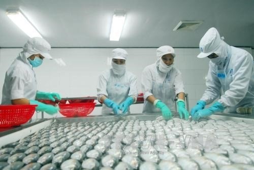 Seafood processed at Ngo Quyen Export JSC in Kien Giang for export to Australia. (Source: VNA)