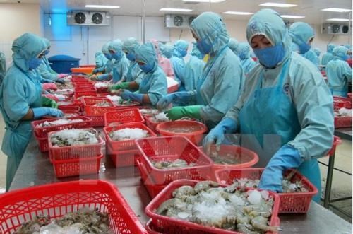 Vietnam's fishery sector achieves its export target of 8 billion USD in 2017. (Source: VNA)