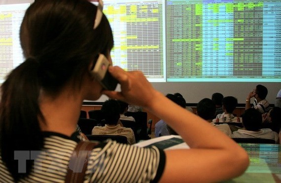 An investor watches stock fluctuations at the Bao Viet security company (Photo: VNA)