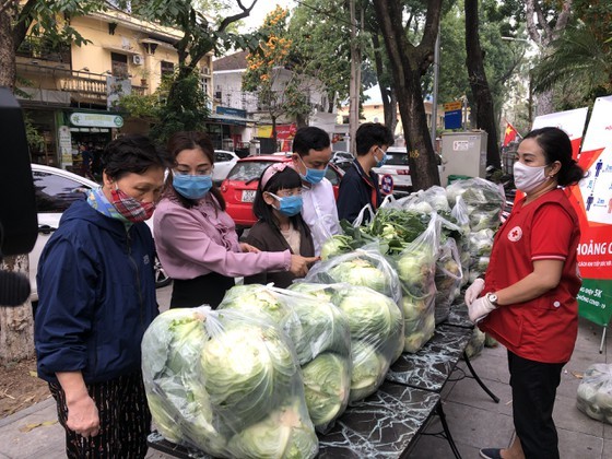 The campaign calls on domestic consumers to help farmers in Hai Duong province, who are struggling against the COVID-19 pandemic with a huge amount of unsold farm produce. (Photo:SGGP)