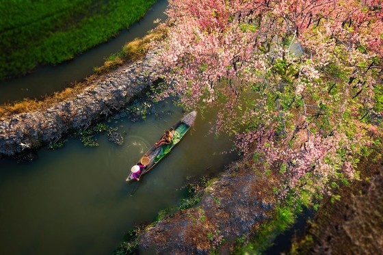 Rowing by Nguyen Xuan Trang