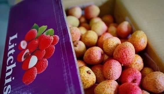 Lychee exports to Australia in 2020 still rose 188 percent compared to 2019 (Photo: VNA)