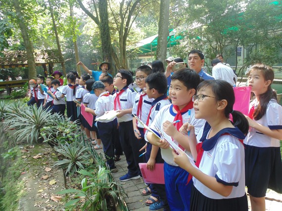 Học sinh Trường Tiểu học Nguyễn Bỉnh Khiêm (quận 1) hào hứng tham gia tIết học ngoài nhà trường