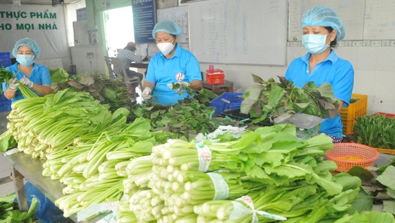 Rau xanh và nhiều mặt hàng tăng giá Giá rau xanh đang tăng mạnh do ảnh hưởng bởi dịch bệnh và thời tiết. Ảnh: Cao Thăng