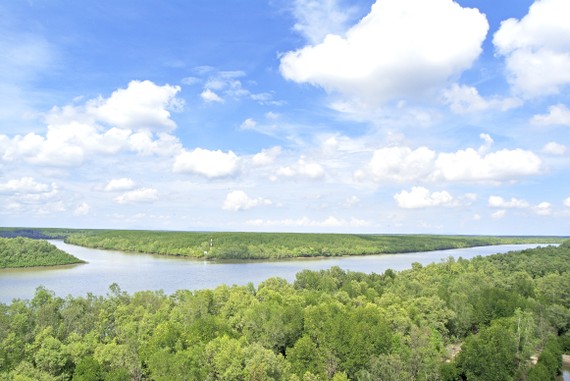 Tour tri ân đầu tiên dành cho lực lượng y tế tuyến đầu phòng, chống dịch Covid-19 tại TPHCM Vẻ đẹp sông nước, rừng ngập mặn Cần Giờ