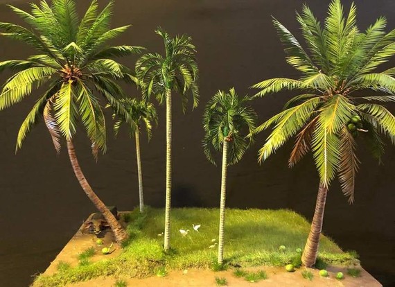 Vườn cây xanh tí hon của anh phụ hồ Vườn dừa mini do anh Lê Mỹ Dặm chế tác