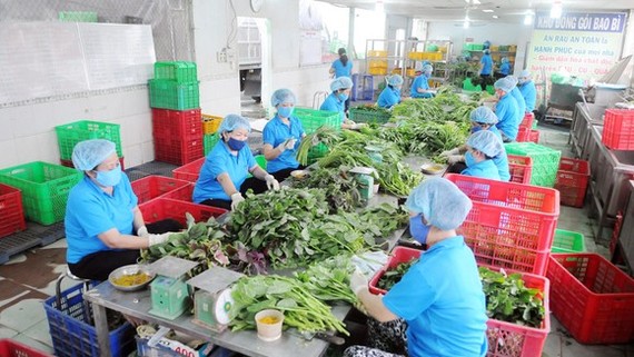 Tăng cường bảo đảm an ninh, an toàn thực phẩm trong tình hình mới Ảnh minh họa