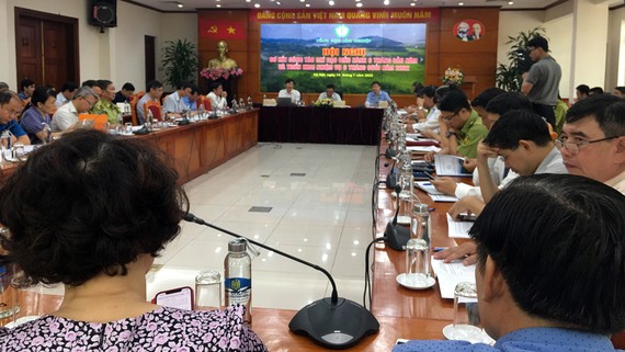 Hội nghị tổng kết ngành lâm nghiệp sáng 14-7