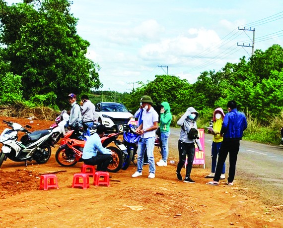 Bình Phước: Sốt đất sau đề xuất xây cầu Mã Đà Bình Phước: Sốt đất sau đề xuất xây cầu Mã Đà