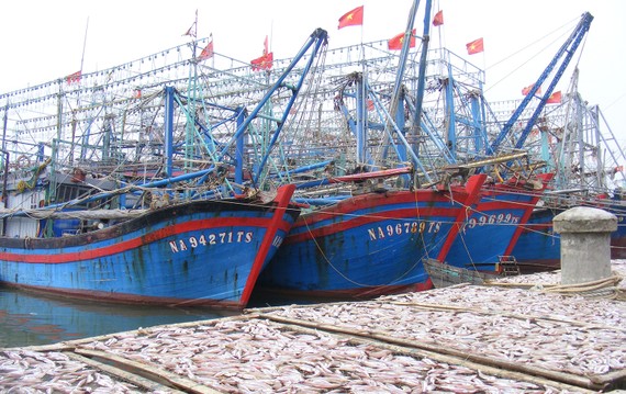 Nghề biển… hụt hơi Hàng loạt tàu đánh cá tại làng biển xã Quỳnh Lập (thị xã Hoàng Mai, Nghệ An) nằm bờ. Ảnh: DUY CƯỜNG