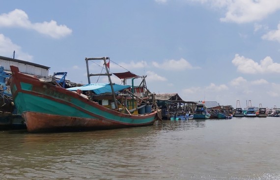 Xăng dầu tăng giá, tàu cá nằm bờ Nhiều tàu cá tại cửa biển Cái Đôi Vàm (Cà Mau) tạm ngưng hoạt động