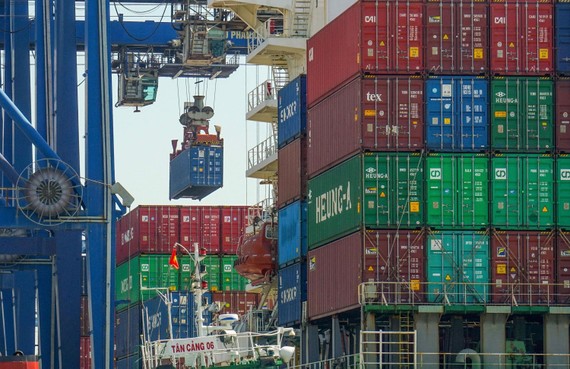 Dự án cảng trung chuyển quốc tế tại Cần Giờ, TPHCM: Không ảnh hưởng quy hoạch phát triển cảng biển Xếp hàng container lên tàu xuất khẩu tại cảng Cát Lái, TPHCM. Ảnh: HOÀNG HÙNG