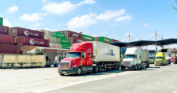 Các xe đầu kéo container làm thủ tục nhập khẩu tại cảng Cát Lái, TP Thủ Đức, TPHCM. Ảnh: HOÀNG HÙNG