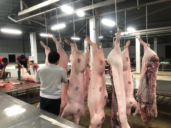 Lò mổ lậu tràn lan, nhà máy giết mổ gia súc gặp khó  Mỗi ngày lượng heo giết mổ tại nhà máy của Công ty TNHH Thực phẩm Ngọc Việt Long Bình rất ít so với công suất