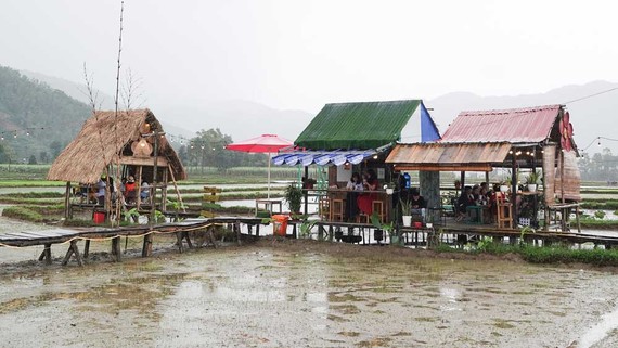 Nhiều khu du lịch sinh thái tự phát “mọc” trên đất nông nghiệp Du khách đến homestay Tiệm Nhà Đô giữa cánh đồng lúa tại thôn Nam Yên (xã Hòa Bắc, huyện Hòa Vang, TP Đà Nẵng). Ảnh: XUÂN QUỲNH