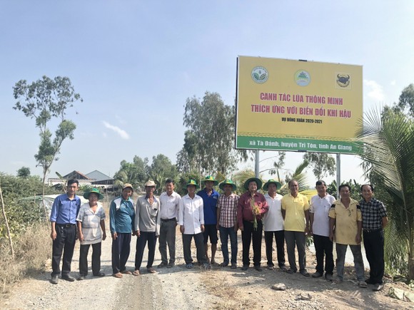 Đồng Tháp cùng An Giang và Hậu Giang nhân rộng mô hình Canh tác lúa thông minh trên nền đất phèn ảnh 1