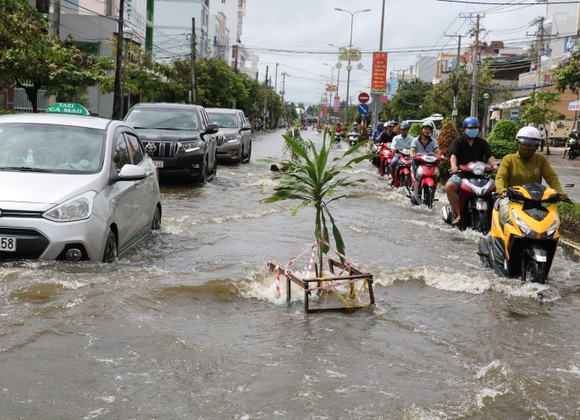 Cà Mau khẩn trương khắc phục thiệt hại do ngập úng ảnh 1